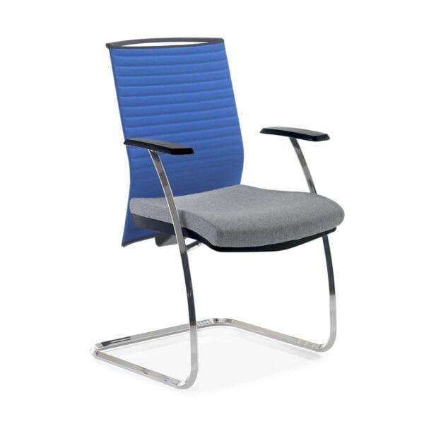 ECOS Breathe Meeting Chair