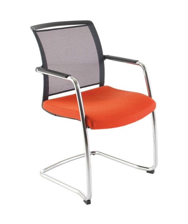 ECOS Time Mesh Meeting Chair