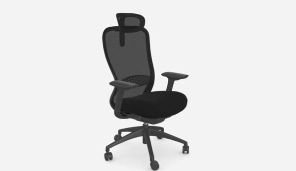 COMFORT BACK EXEC